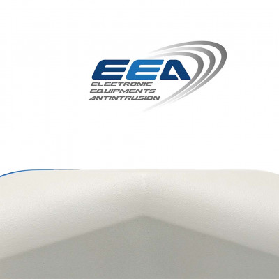 EEA